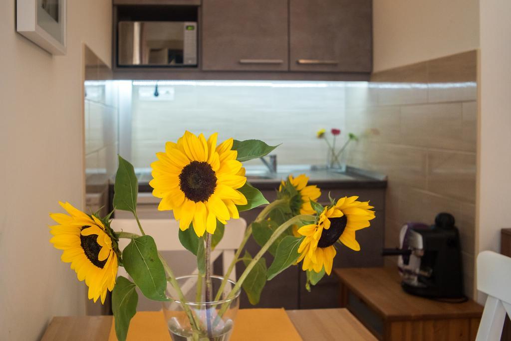 Apartment Friendly In The Center *